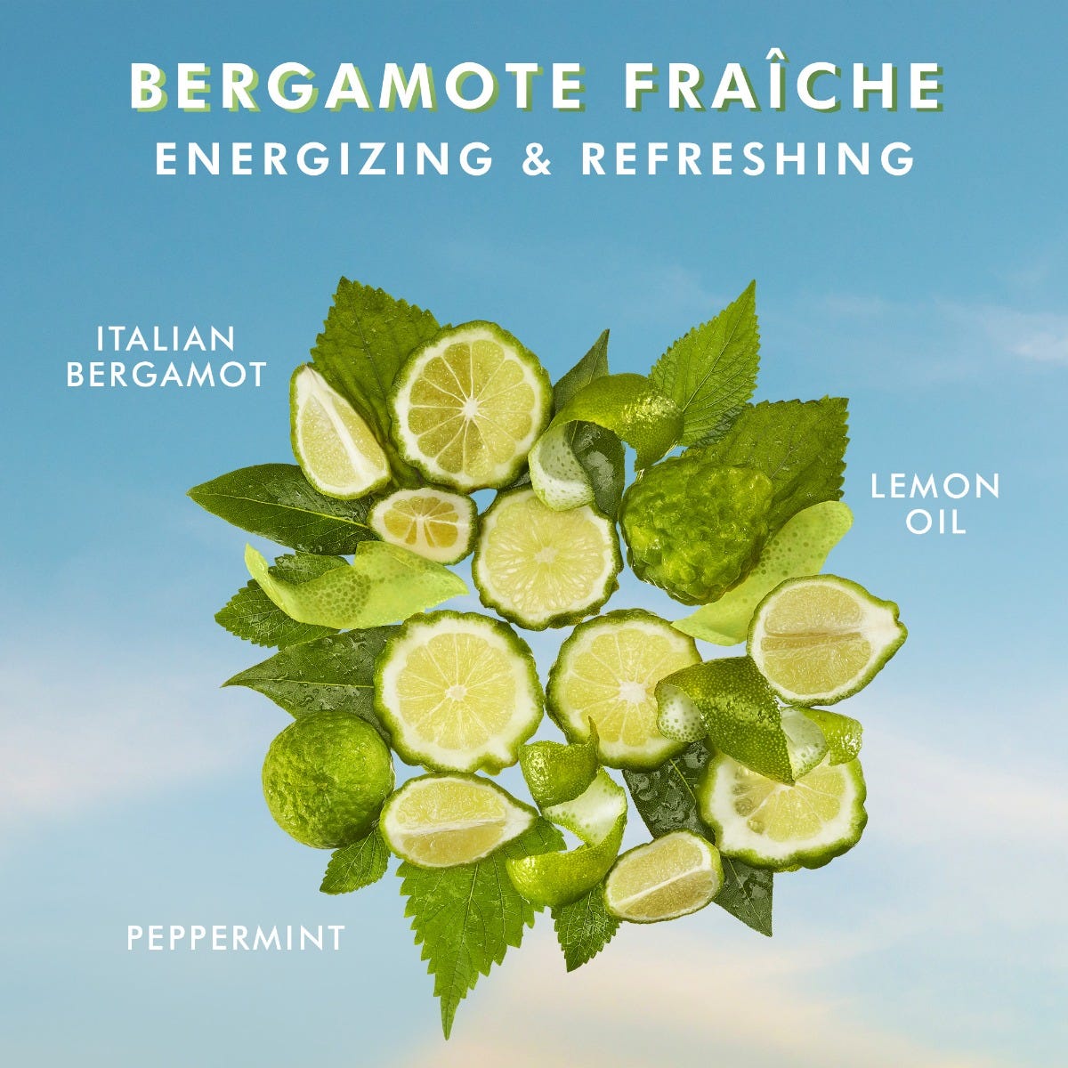 Shower Gel Bergamote Fraîche - Image 4