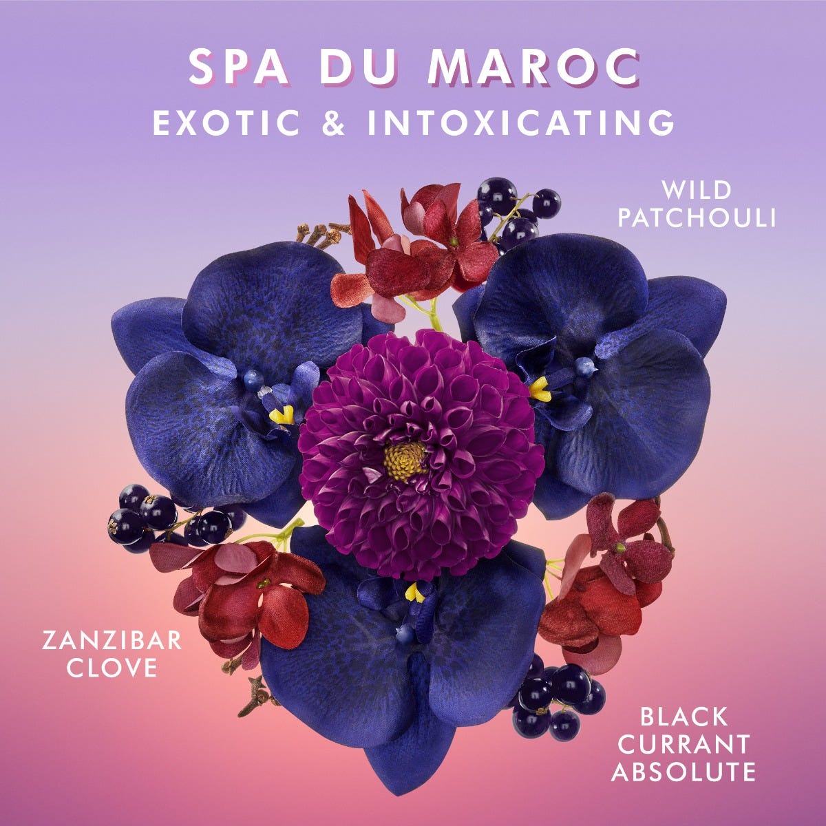 Body Lotion Spa Du Maroc - Image 4